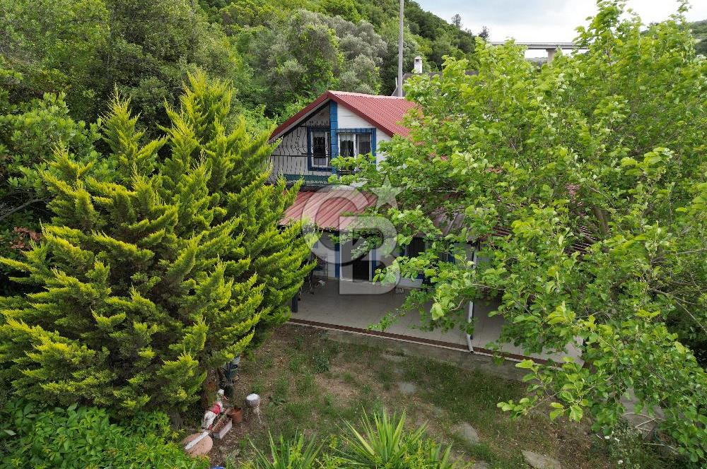 ALTINTAŞ KIZILAY KAMPINDA ORMANA KOMŞU MÜSTAKİL YAŞAM FIRSATI