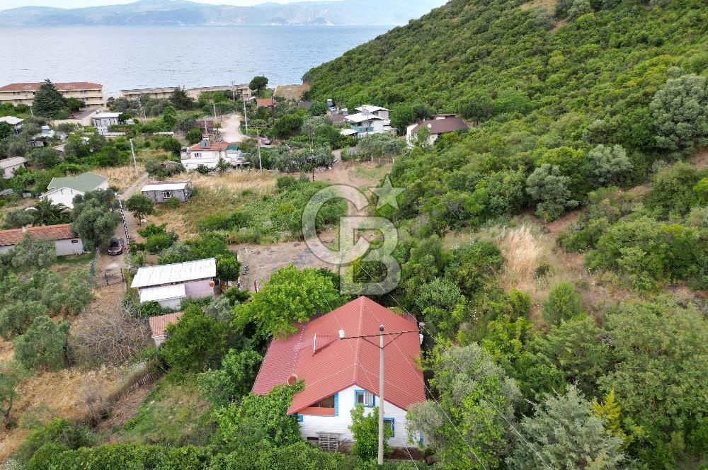 ALTINTAŞ KIZILAY KAMPINDA ORMANA KOMŞU MÜSTAKİL YAŞAM FIRSATI
