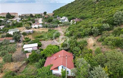 ALTINTAŞ KIZILAY KAMPINDA ORMANA KOMŞU MÜSTAKİL YAŞAM FIRSATI