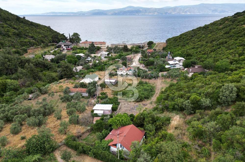 ALTINTAŞ KIZILAY KAMPINDA ORMANA KOMŞU MÜSTAKİL YAŞAM FIRSATI
