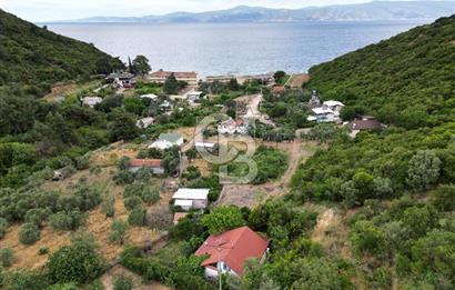 ALTINTAŞ KIZILAY KAMPINDA ORMANA KOMŞU MÜSTAKİL YAŞAM FIRSATI