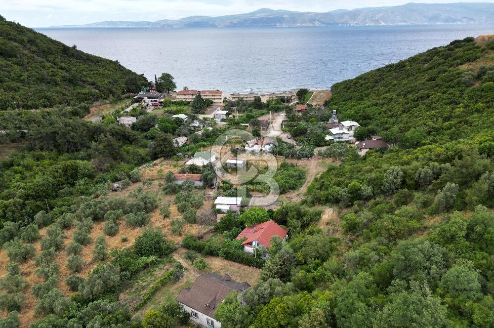 ALTINTAŞ KIZILAY KAMPINDA ORMANA KOMŞU MÜSTAKİL YAŞAM FIRSATI