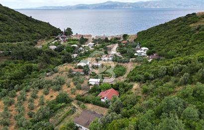 ALTINTAŞ KIZILAY KAMPINDA ORMANA KOMŞU MÜSTAKİL YAŞAM FIRSATI