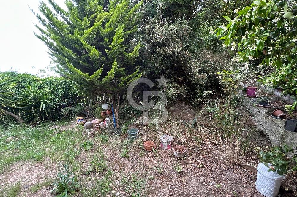 ALTINTAŞ KIZILAY KAMPINDA ORMANA KOMŞU MÜSTAKİL YAŞAM FIRSATI