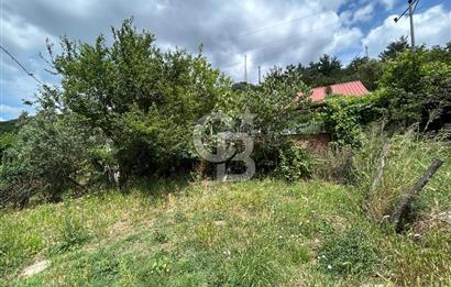 ALTINTAŞ KIZILAY KAMPINDA ORMANA KOMŞU MÜSTAKİL YAŞAM FIRSATI