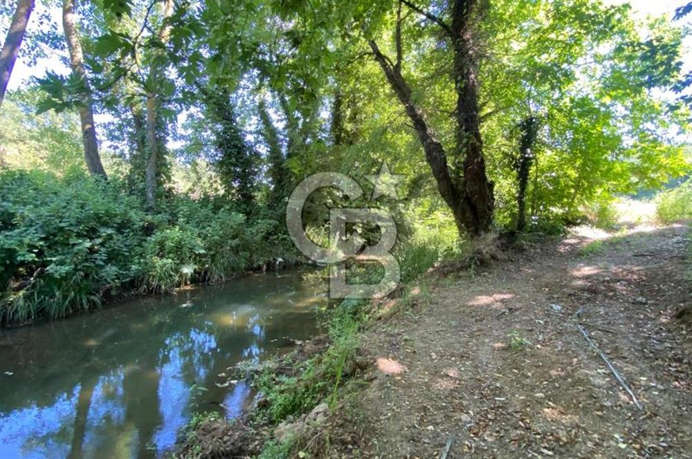 BİGA HARMANLI KÖYÜNDE YATIRIMLIK FIRSAT TARLA