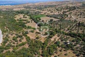 KALABAKTA TEK TAPU 2122m2 SATILIK ZEYTİNLİK - 9 - 354706