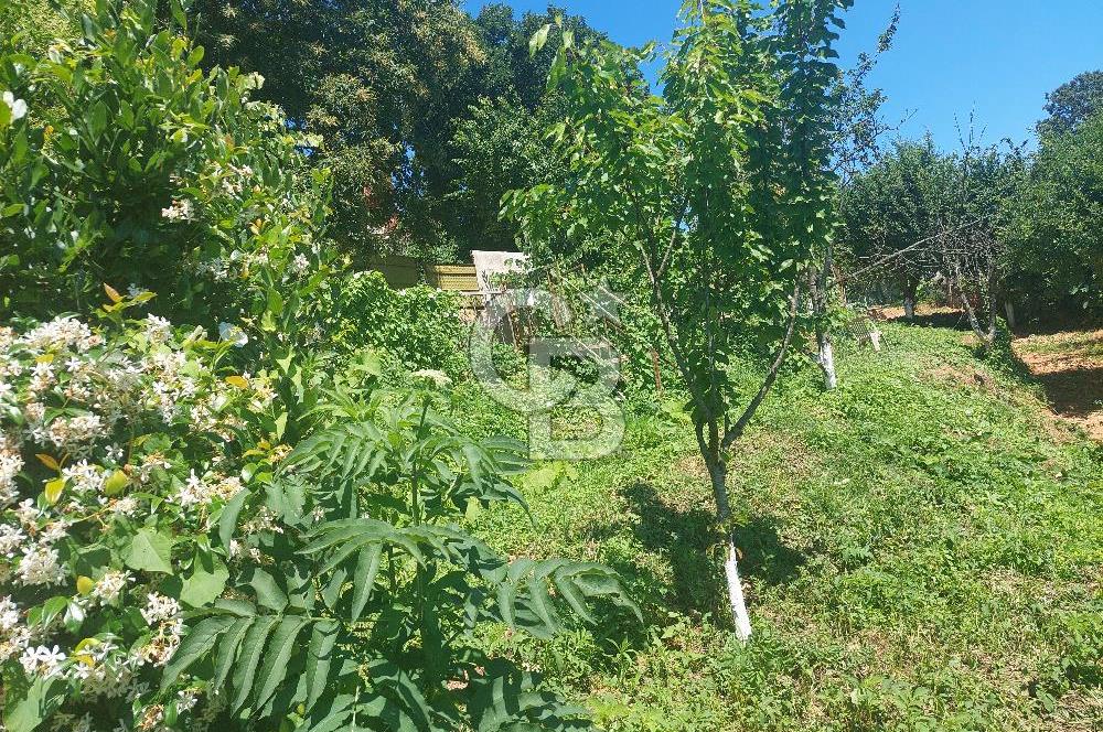 ÇEKMEKÖY'ÜN PARLAYAN YILDIZI REŞADİYE'DE SATILIK KUPON ARSA