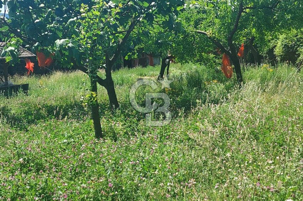 ÇEKMEKÖY'ÜN PARLAYAN YILDIZI REŞADİYE'DE SATILIK KUPON ARSA