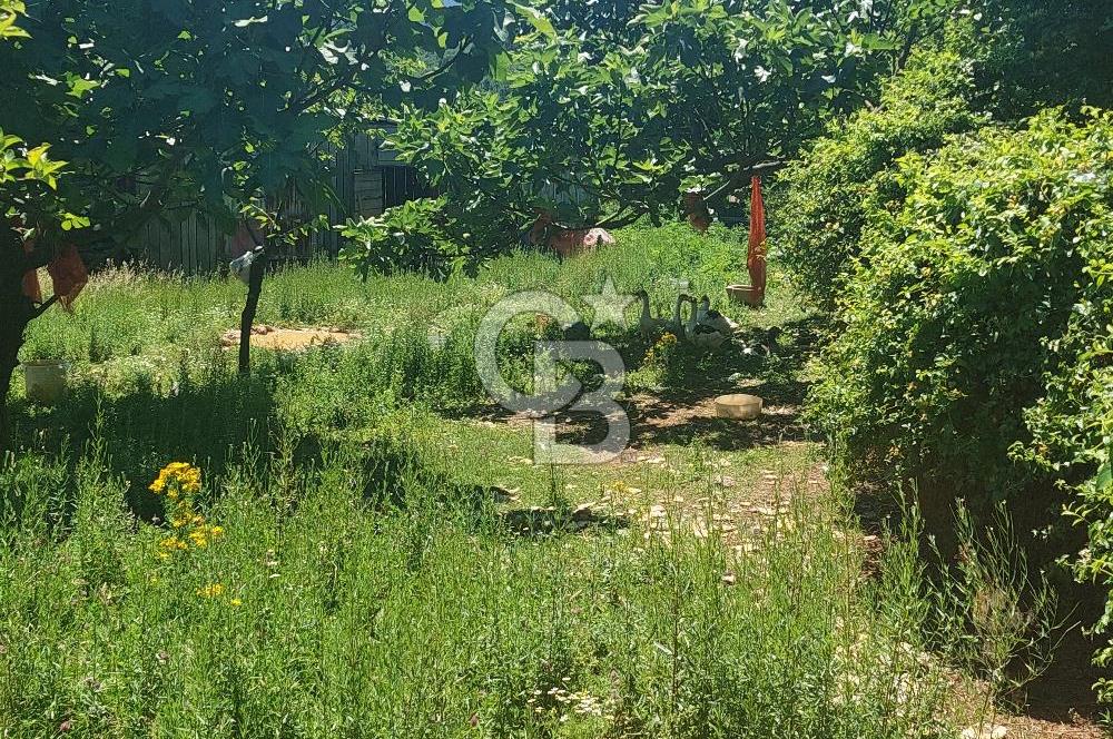 ÇEKMEKÖY'ÜN PARLAYAN YILDIZI REŞADİYE'DE SATILIK KUPON ARSA