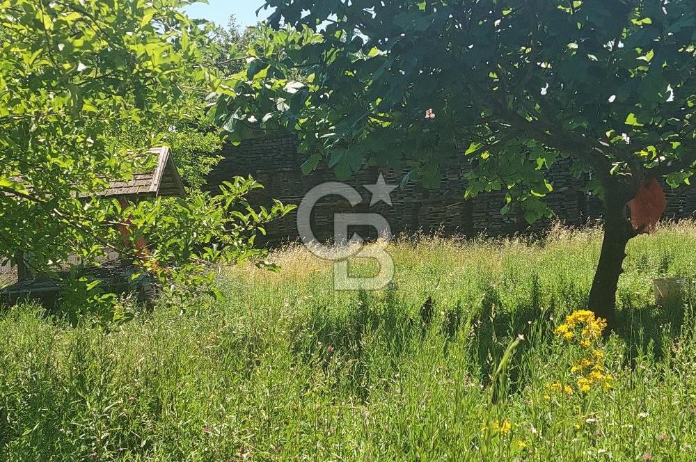 ÇEKMEKÖY'ÜN PARLAYAN YILDIZI REŞADİYE'DE SATILIK KUPON ARSA