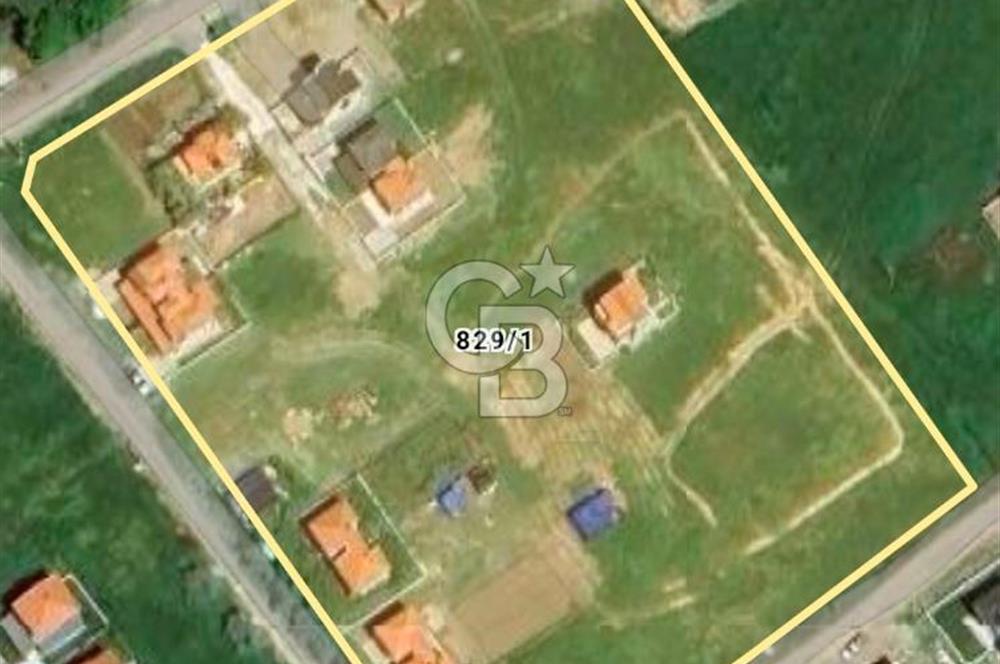 Ayvalık Altınova Villa İmarlı 223 m2 Arsa