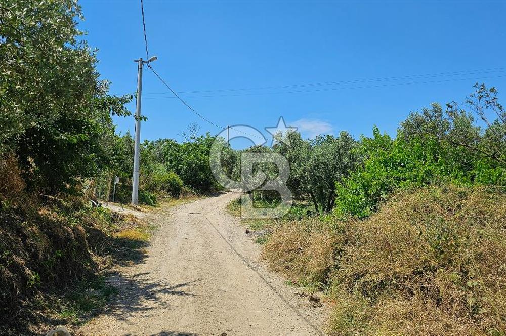 MUDANYA ÇEVRE YOLU PROJESİNE 1 KM MESAFEDE DENİZ MANZARALI YATIRIMLIK