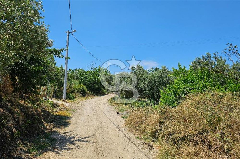 MUDANYA ÇEVRE YOLU PROJESİNE 1 KM MESAFEDE DENİZ MANZARALI YATIRIMLIK