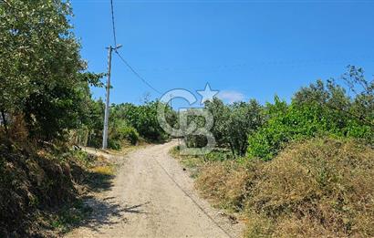 MUDANYA ÇEVRE YOLU PROJESİNE 1 KM MESAFEDE DENİZ MANZARALI YATIRIMLIK