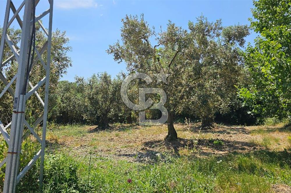 MUDANYA ÇEVRE YOLU PROJESİNE 1 KM MESAFEDE DENİZ MANZARALI YATIRIMLIK