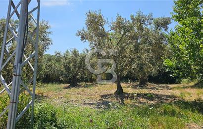 MUDANYA ÇEVRE YOLU PROJESİNE 1 KM MESAFEDE DENİZ MANZARALI YATIRIMLIK