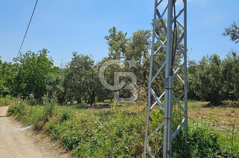 MUDANYA ÇEVRE YOLU PROJESİNE 1 KM MESAFEDE DENİZ MANZARALI YATIRIMLIK