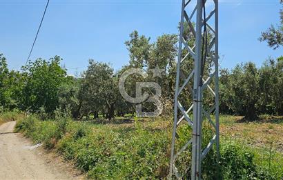 MUDANYA ÇEVRE YOLU PROJESİNE 1 KM MESAFEDE DENİZ MANZARALI YATIRIMLIK