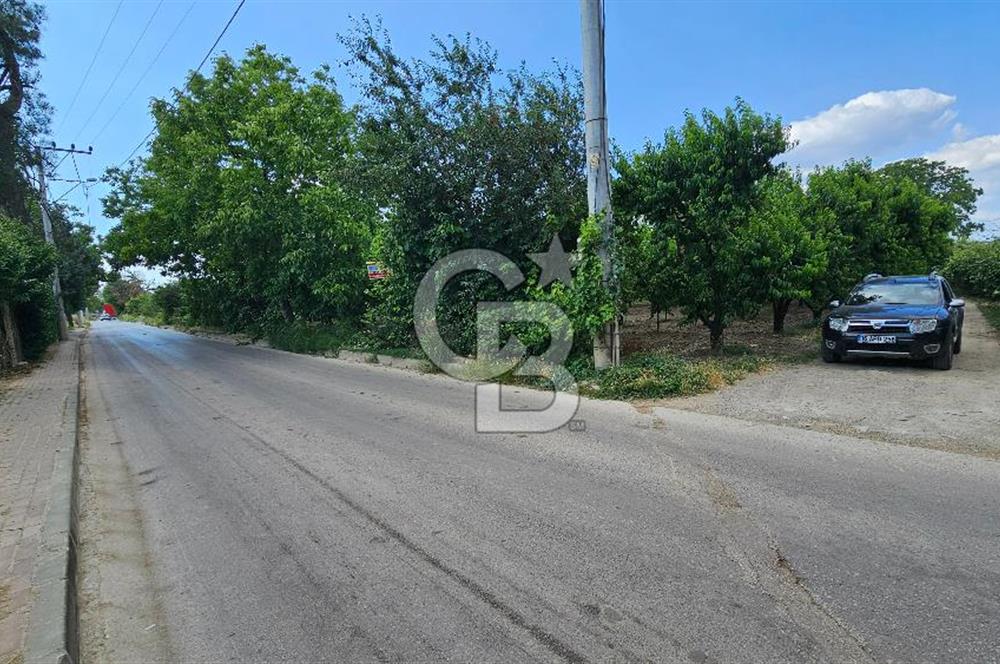 BURSA 'NIN MERKEZİNDE HER PROJEYE UYGUN KİRALIK MUHTEŞEM BAHÇE