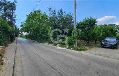 BURSA 'NIN MERKEZİNDE HER PROJEYE UYGUN KİRALIK MUHTEŞEM BAHÇE