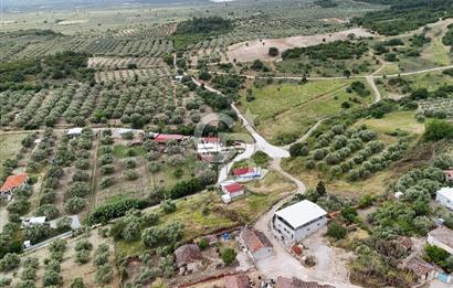 MANİSA SARUHANLI KEPENEKLİ DE SATILIK İKİ KAT İMARLI 719 M² ARSA