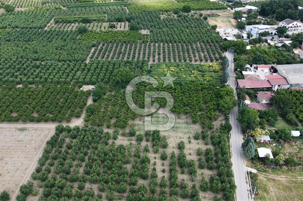 BURSA 'NIN MERKEZİNDE HER PROJEYE UYGUN KİRALIK MUHTEŞEM BAHÇE