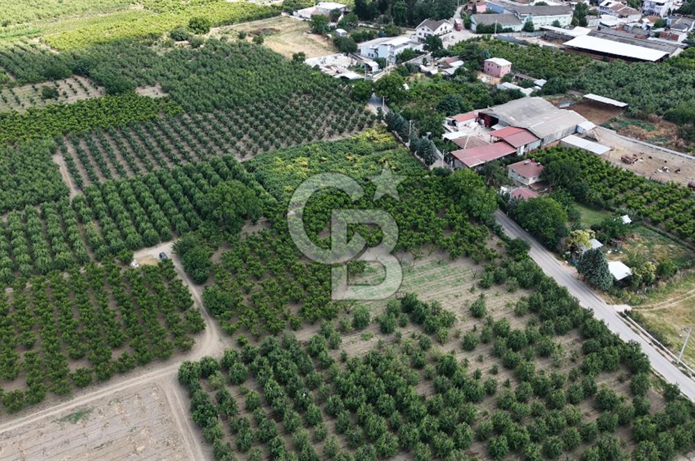 BURSA 'NIN MERKEZİNDE HER PROJEYE UYGUN KİRALIK MUHTEŞEM BAHÇE
