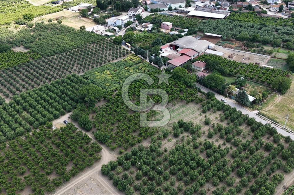 BURSA 'NIN MERKEZİNDE HER PROJEYE UYGUN KİRALIK MUHTEŞEM BAHÇE