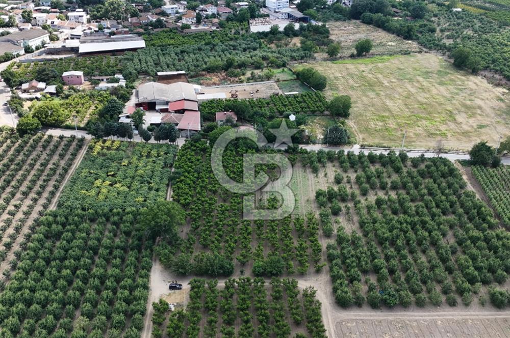 BURSA 'NIN MERKEZİNDE HER PROJEYE UYGUN KİRALIK MUHTEŞEM BAHÇE