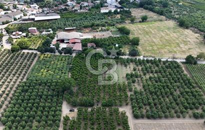 BURSA 'NIN MERKEZİNDE HER PROJEYE UYGUN KİRALIK MUHTEŞEM BAHÇE