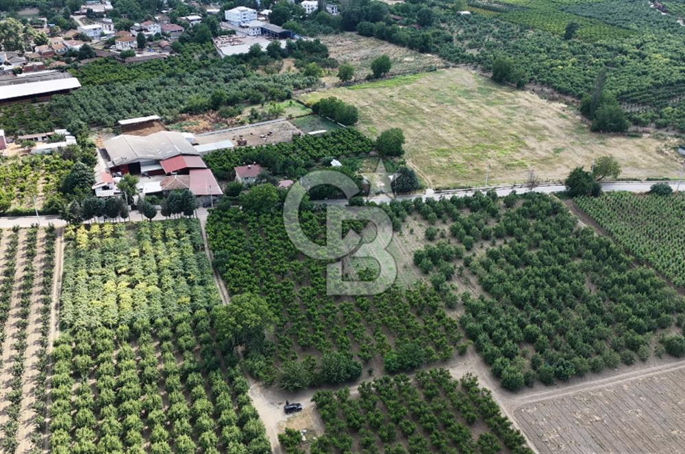 BURSA 'NIN MERKEZİNDE HER PROJEYE UYGUN KİRALIK MUHTEŞEM BAHÇE