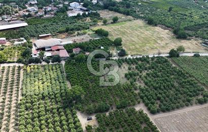 BURSA 'NIN MERKEZİNDE HER PROJEYE UYGUN KİRALIK MUHTEŞEM BAHÇE