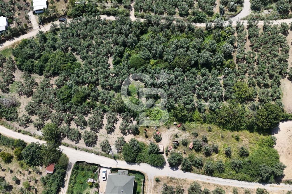 MUDANYA ÇEVRE YOLU PROJESİNE 1 KM MESAFEDE DENİZ MANZARALI YATIRIMLIK