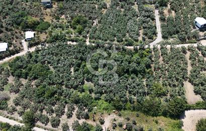MUDANYA ÇEVRE YOLU PROJESİNE 1 KM MESAFEDE DENİZ MANZARALI YATIRIMLIK