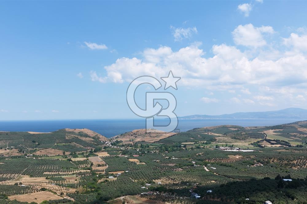 MUDANYA ÇEVRE YOLU PROJESİNE 1 KM MESAFEDE DENİZ MANZARALI YATIRIMLIK