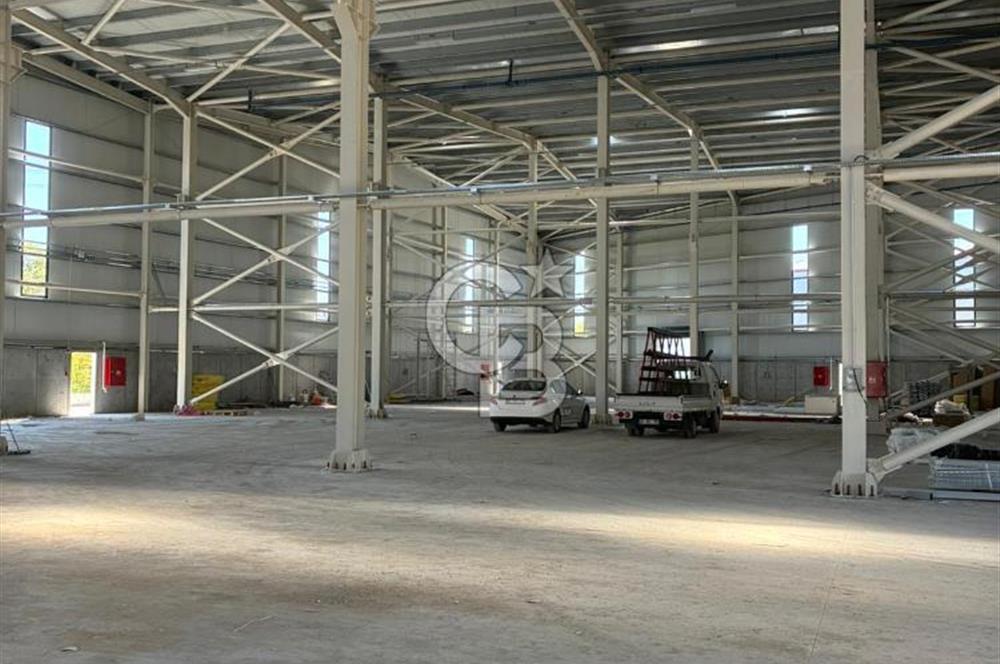 Kocaeli Dilovası OSB'de Kiralık 3.000 M2 Fabrika Depo Antrepo