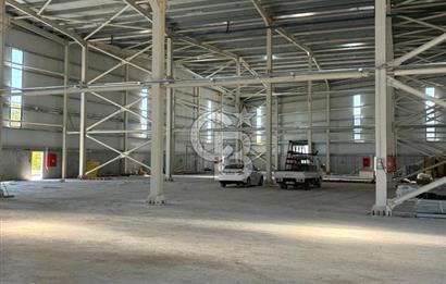 Kocaeli Dilovası OSB'de Kiralık 3.000 M2 Fabrika Depo Antrepo