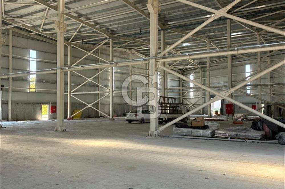 Kocaeli Dilovası OSB'de Kiralık 3.000 M2 Fabrika Depo Antrepo
