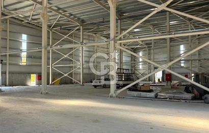 Kocaeli Dilovası OSB'de Kiralık 3.000 M2 Fabrika Depo Antrepo
