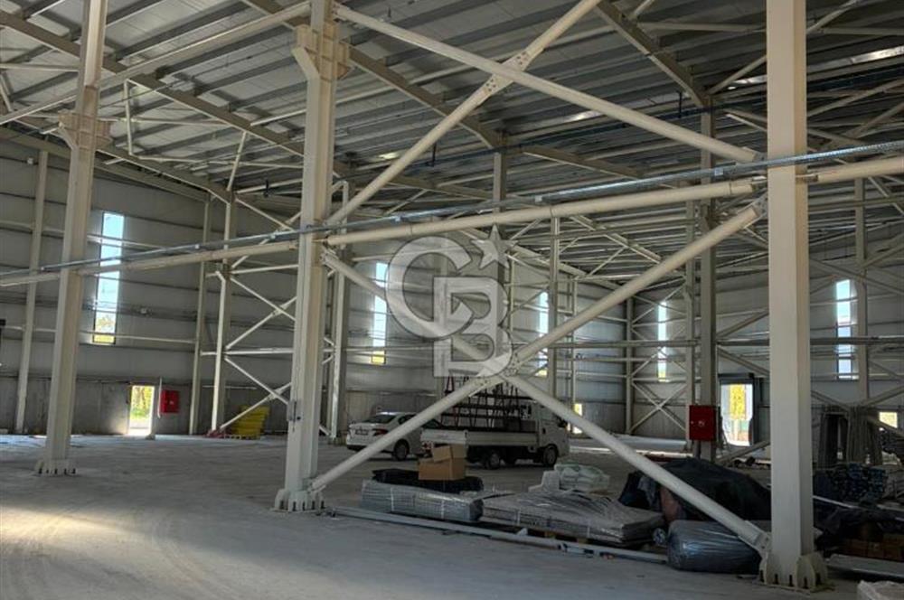 Kocaeli Dilovası OSB'de Kiralık 3.000 M2 Fabrika Depo Antrepo