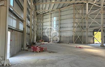 Kocaeli Dilovası OSB'de Kiralık 3.000 M2 Fabrika Depo Antrepo