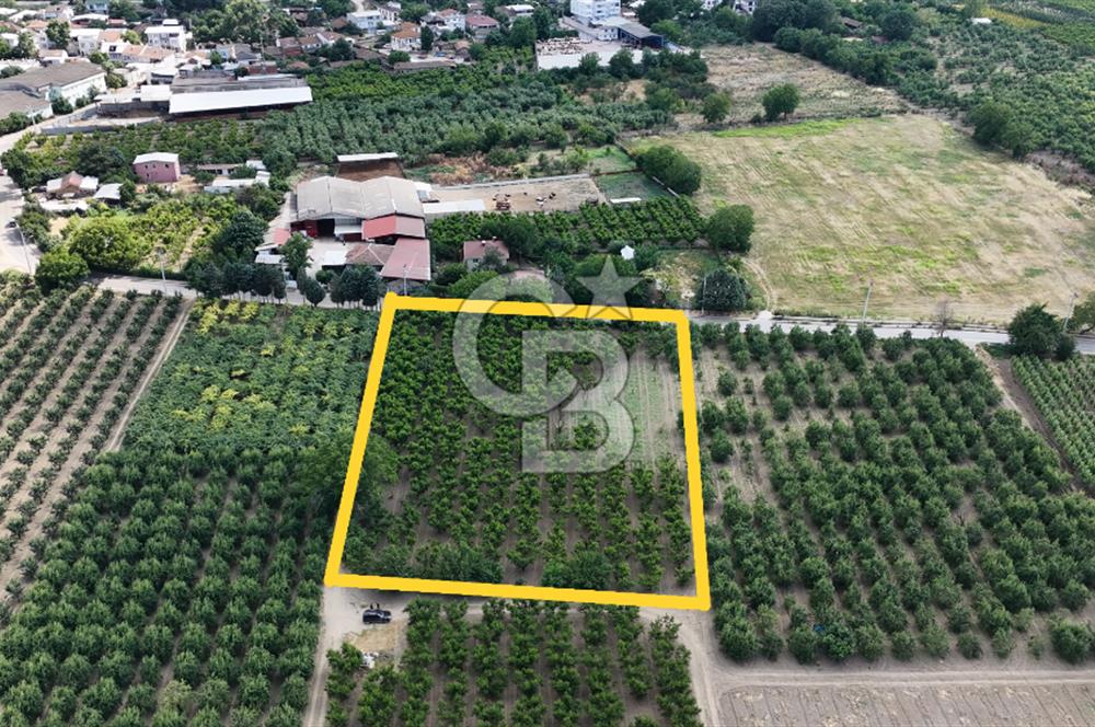 BURSA 'NIN MERKEZİNDE HER PROJEYE UYGUN KİRALIK MUHTEŞEM BAHÇE
