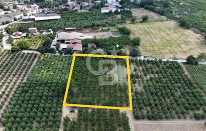 BURSA 'NIN MERKEZİNDE HER PROJEYE UYGUN KİRALIK MUHTEŞEM BAHÇE