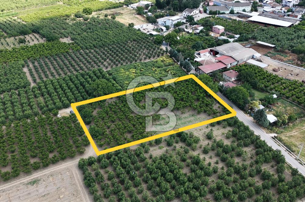 BURSA 'NIN MERKEZİNDE HER PROJEYE UYGUN KİRALIK MUHTEŞEM BAHÇE