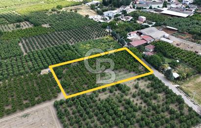 BURSA 'NIN MERKEZİNDE HER PROJEYE UYGUN KİRALIK MUHTEŞEM BAHÇE