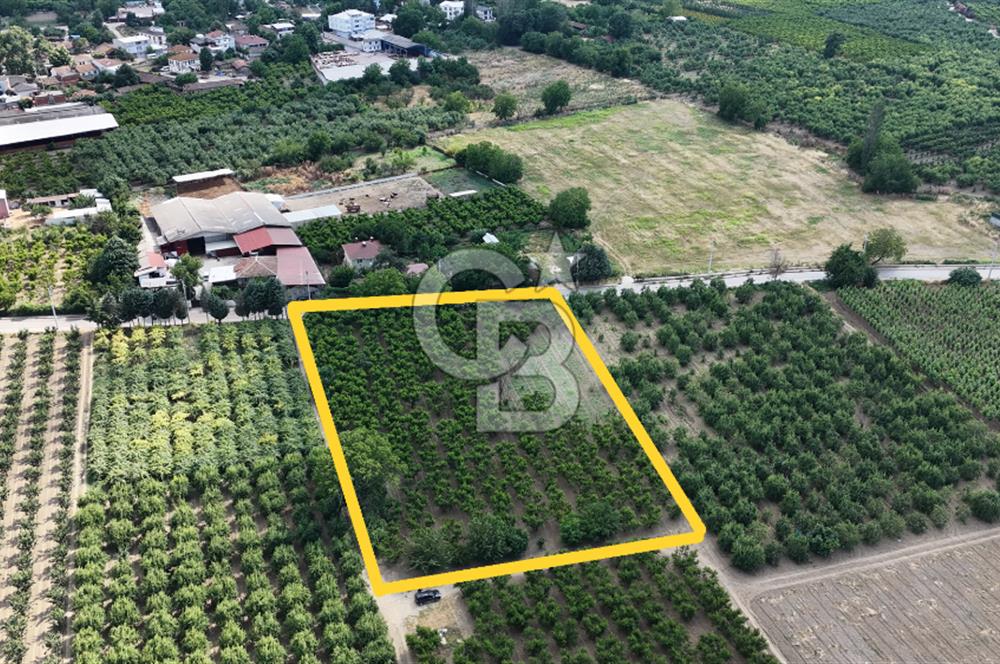 BURSA 'NIN MERKEZİNDE HER PROJEYE UYGUN KİRALIK MUHTEŞEM BAHÇE