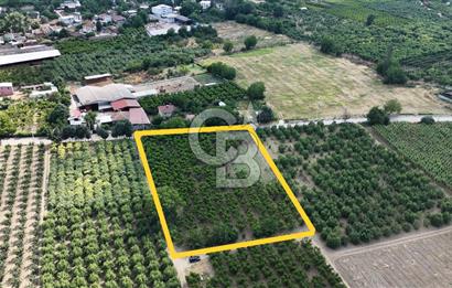 BURSA 'NIN MERKEZİNDE HER PROJEYE UYGUN KİRALIK MUHTEŞEM BAHÇE