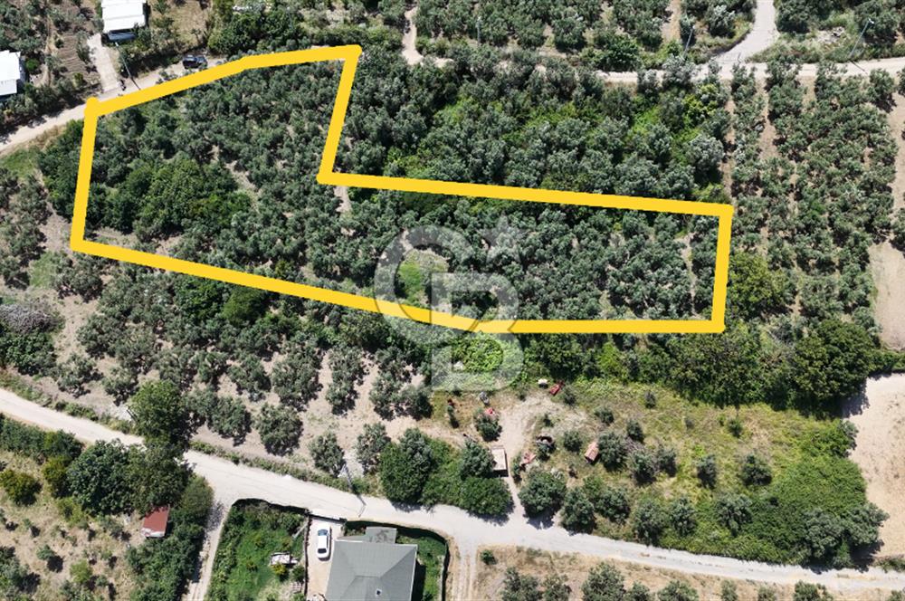 MUDANYA ÇEVRE YOLU PROJESİNE 1 KM MESAFEDE DENİZ MANZARALI YATIRIMLIK