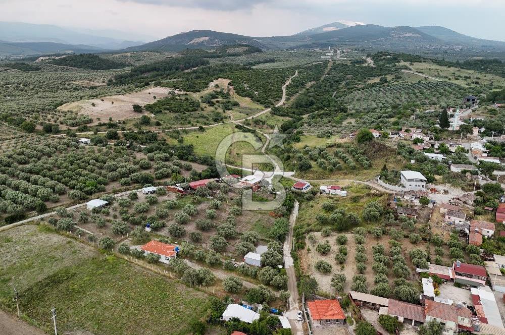 MANİSA SARUHANLI KEPENEKLİ DE SATILIK İKİ KAT İMARLI 670 M² ARSA